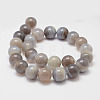 Natural Striped Agate/Banded Agate Bead Strands G-K155-D-12mm-02-2