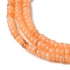 Natural Freshwater Shell Beads Strands SHEL-P017-01B-05-3