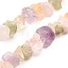 Natural Amethyst & Rose Quartz & Quartz Crystal & Citrine Beads Strands G-I283-F22-2