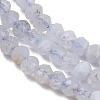 Natural Blue Lace Agate Beads Strands G-D347-B01-4