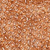 Transparent Czech Glass Seed Beads SEED-N004-005-C03-4
