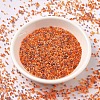 MIYUKI Delica Beads SEED-J020-DB2062-2
