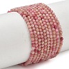 Natural Rhodonite Beads Strands X-G-P553-G06-01-1