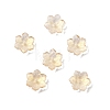 Glass Beads GLAA-D303-04J-1