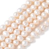 Natural Cultured Freshwater Pearl Beads Strands PEAR-I007-07O-11C-2