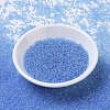 MIYUKI Round Rocailles Beads X-SEED-G007-RR0159-2
