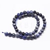 Natural Sodalite Beads Strands X-G-D840-19-8mm-2