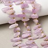 Natural Kunzite Beads Strands G-P604-A26-01-1