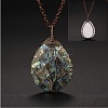 Natural Paua Shell Copper Wire Wrapped Tree of Life Teardrop Pendant Necklaces FS-WG9357B-02-1