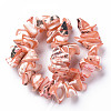 Natural Trochid Shell/Trochus Shell Bead Strands SSHEL-N034-105-A02-2