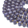 Natural Lepidolite/Purple Mica Stone Beads Strands G-P573-B05-01-3