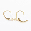 304 Stainless Steel Leverback Earring Findings STAS-L190-14G-2