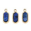 Natural Lapis Lazuli Rectangle Charms STAS-I325-141A-G-1