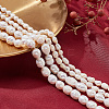  4Strands 2 Styles Natural Cultured Freshwater Pearl Beads Strands PEAR-NB0001-64-4