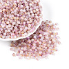 Drawbench Style Glass Seed Beads SEED-Q039-01B-1