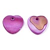 Natural Freshwater Shell Charms SHEL-R113-17F-2