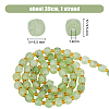 1 Strand Natural Prehnite Beads Strands AJEW-FH0003-68-2