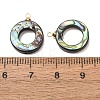Natural Abalone Shell Pendants SH-CJC0AC7-01G-G-3