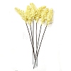 6pcs Lavender Plastic Simulation Artificial Flower PW-WG14912-01-1