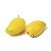 Fruit Theme Resin Pendants RESI-D018-01P-02-2