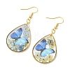 Transparent Epoxy Resin Dangle Earrings EJEW-JE07205-02-4