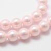 Shell Pearl Bead Strands X-BSHE-L025-06-8mm-4