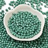 Baking Painted Glass Seed Beads SEED-C004-01I-2