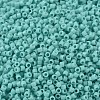 MIYUKI Delica Beads X-SEED-J020-DB1136-3