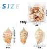 Natural Conch Shell Beads BSHE-SC0001-02-2