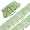 Polyester Lace Ribbon SRIB-NB0001-22C-1