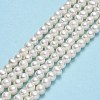 Natural Cultured Freshwater Pearl Beads Strands PEAR-F018-13F-01-2