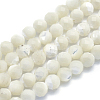 Natural White Shell Beads G-O171-09-6mm-1