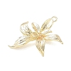 Brass Pendants KK-G601-05G-07-2
