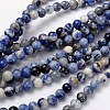 Natural Sodalite Beads Strand GSR8mmC013-1