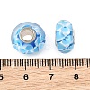 Lampwork & Brass Core European Beads LAMP-P019-01P-21-3