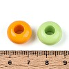 Opaque Acrylic European Large Hole Beads SACR-N019-03-3