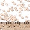 6/0 Glass Seed Beads SEED-L011-08A-24-4