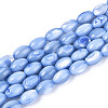 Natural Trochus Shell Beads Strands SHEL-K006-19-01A-1