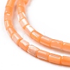 Natural Trochus Shell Beads Strands SSHEL-H070-01F-4