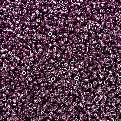 MIYUKI Delica Beads X-SEED-J020-DB1850-1