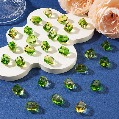 30Pcs Transparent Handmade Lampwork Beads LAMP-TADJ0001-12I-1