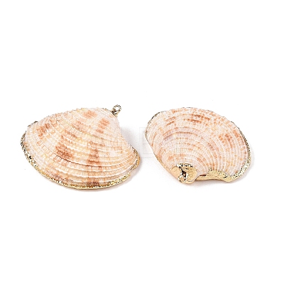 Natural Sea Shell Pendants SSHEL-N038-16-1