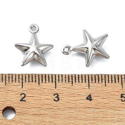 304 Stainless Steel Charms STAS-L024-012P-1