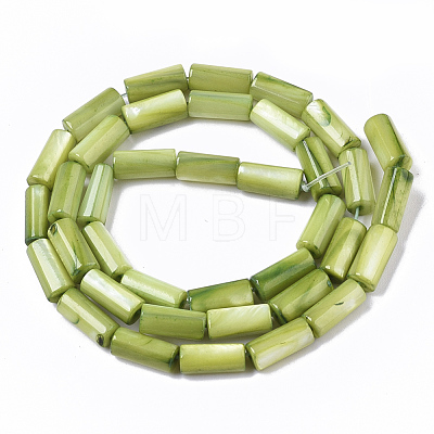 Natural Freshwater Shell Beads X-SHEL-R047-01F-1