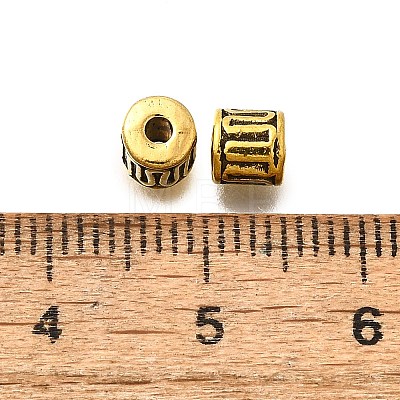 Tibetan Style Alloy Beads LS-X-GLF10149Y-NF-1