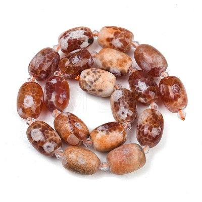 Natural Fire Crackle Agate Beads Strands G-K393-G05-13x18-1