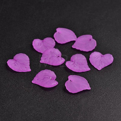 Transparent Acrylic Pendants PL591-7-1