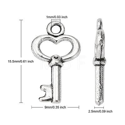 Gifts Ideas for Her Tibetan Style Alloy Charms LS-LF11975Y-NF-1