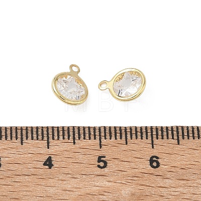 Brass Pave Clear Cubic Zirconia Charms CU-CBAD360-03G-01-1