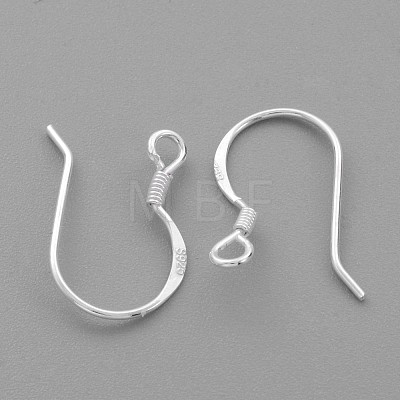 Sterling Silver Earring Hooks STER-G011-23-1